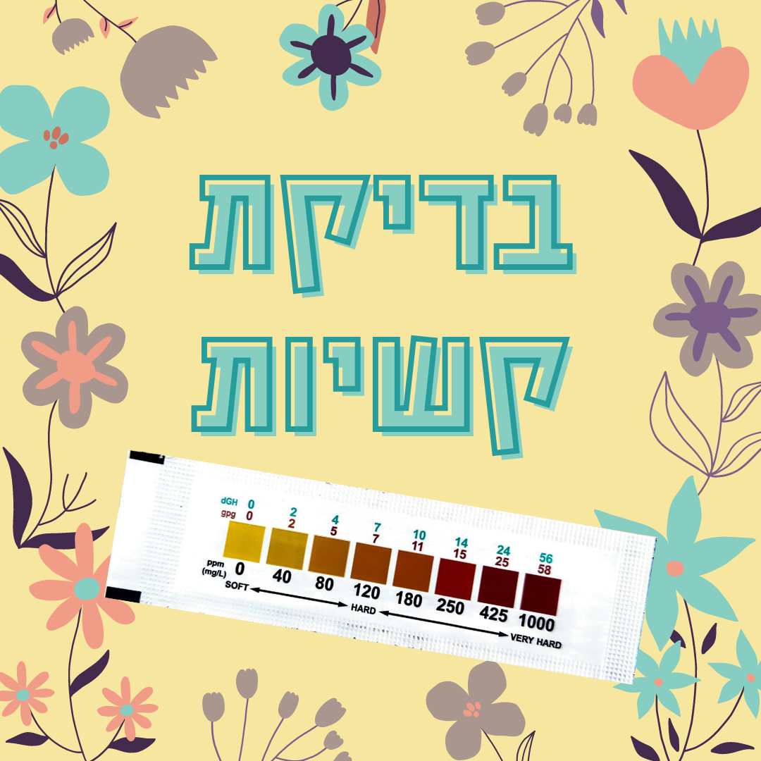 בדיקת קשיות